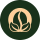 kopi
